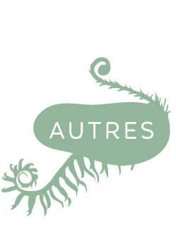 Explorez nos autres collections : 'Cueillir en poésie’, des cartes inspirées de l'art de la cueillette, et des fiches marque-pages pour enrichir votre vocabulaire botanique. Icône représentant la collection 'Autres collections' du site de la maison d'édition, incluant des cartes à écrire sur la cueillette et des fiches marque-pages illustrées pour le vocabulaire botanique.