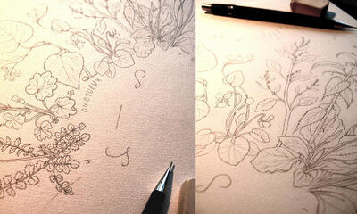 Détail des dessins de Linaigrette pour l'affiche Savoureux pestos sauvages : le crayonné Détail des dessins de Linaigrette pour l'affiche Savoureux pestos sauvages : le crayonné