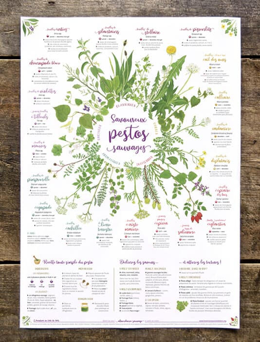 Affiche Savoureux pestos sauvages, éditée par L'Aventure au coin du bois Affiche Savoureux pestos sauvages : 21 plantes sauvages comestibles à découvrir toute l'année pour faire soi-même ses pestos !