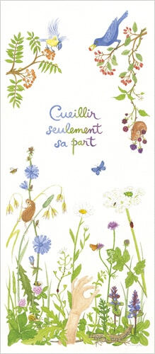 Carte "Cueillir seulement sa part", aquarelle de Linaigrette éditée par L'Aventure au coin du bois Carte "Cueillir seulement sa part", aquarelle de Linaigrette éditée par L'Aventure au coin du bois