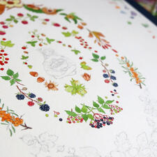 Détail de l'aquarelle de Linaigrette en cours pour la carte Cueillir à point : fruits et baies sauvages Détail de l'aquarelle de Linaigrette en cours pour la carte Cueillir à point : fruits et baies sauvages