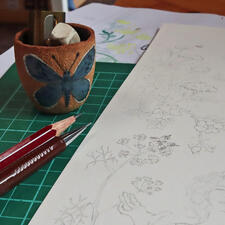Tracé de Linaigrette en cours pour la carte Cueillette subtile Tracé de Linaigrette en cours pour la carte Cueillette subtile