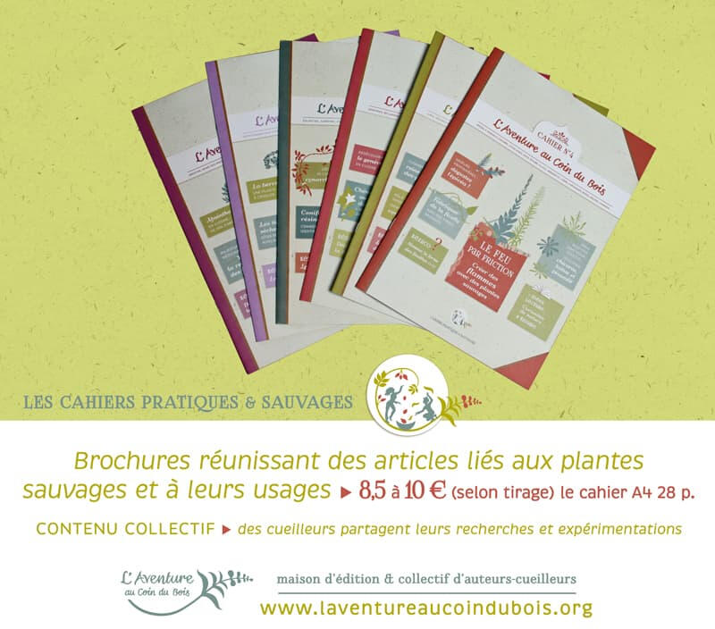 La collection des Cahiers pratiques & sauvages de l'Aventure au coin du bois : des cueilleurs partagent autour des plantes sauvages (usages et identifications) La collection des Cahiers pratiques & sauvages de l'Aventure au coin du bois : des cueilleurs partagent autour des plantes sauvages (usages et identifications)