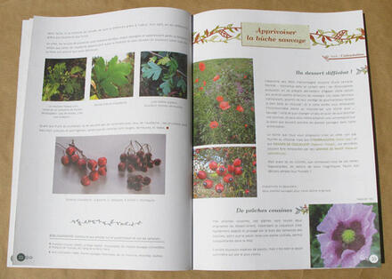 Cahier n°3 Cahier n°3