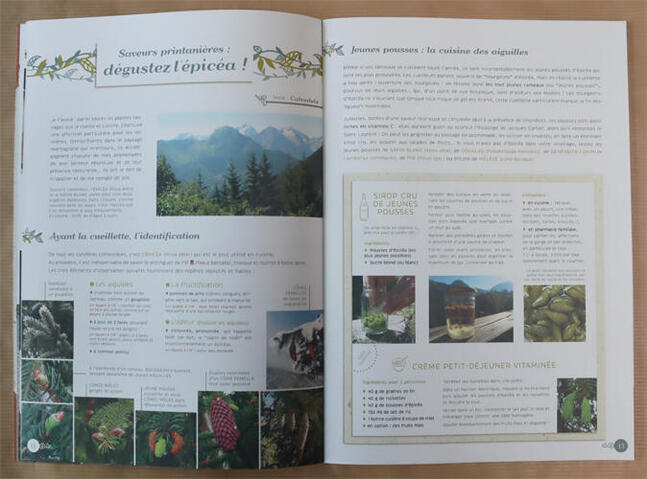 Cahier n°4 Cahier n°4
