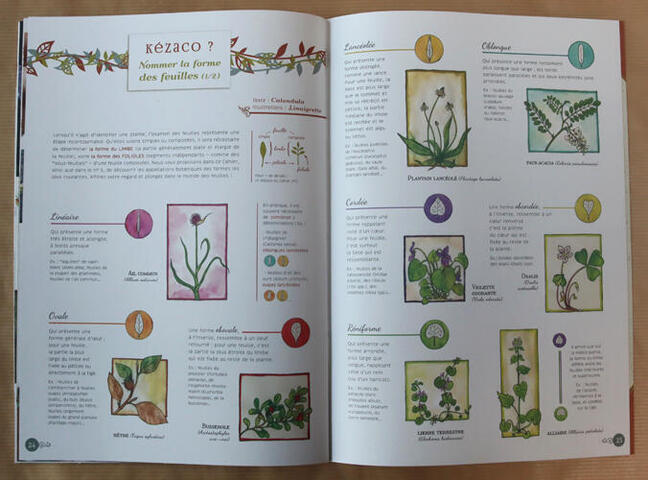 Cahier n°4 Cahier n°4