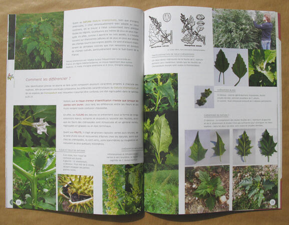 Cahier n°2 Cahier n°2