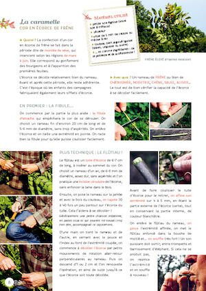 Cahier n°7 Cahier n°7