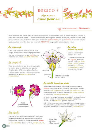 Cahier n°7 Cahier n°7
