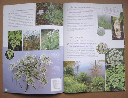 Cahier n°6 Cahier n°6