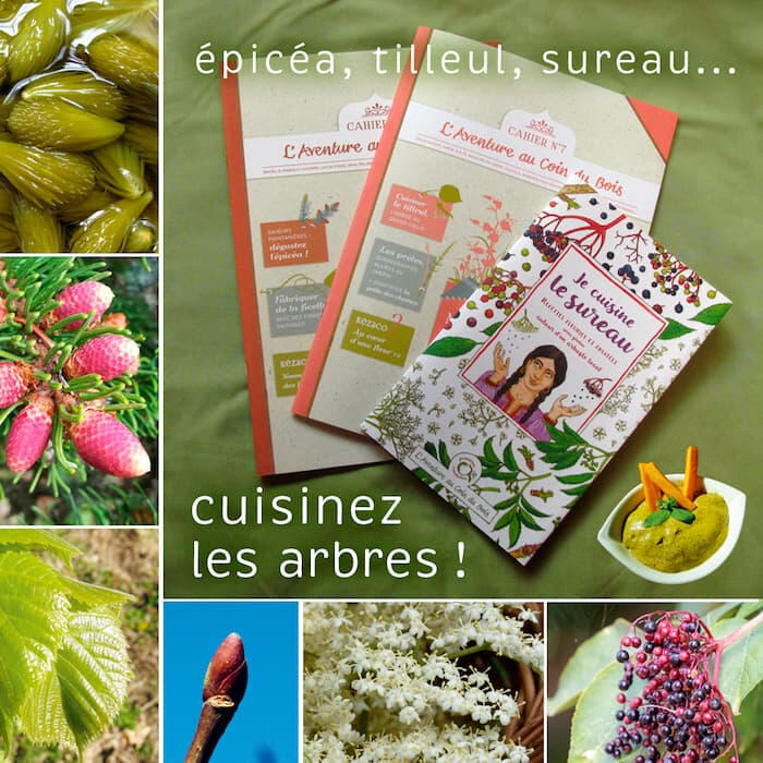Découvrez notre promotion : un lot de 3 publications sur la cuisine des arbres ! Apprenez à utiliser le sureau, l'épicéa et le t Image promotionnelle de L'Aventure au coin du bois présentant un lot de 3 publications sur la cuisine des arbres : sureau, épicéa et tilleul, disponible à l'achat.