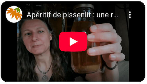 Apéritif de pissenlit