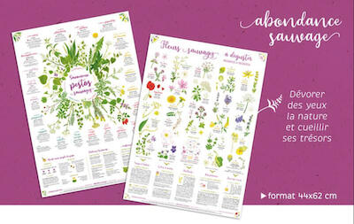 Découvrez notre promotion : un lot de 3 publications sur la cuisine des arbres ! Apprenez à utiliser le sureau, l'épicéa et le t Image promotionnelle de L'Aventure au coin du bois présentant un lot de 3 publications sur la cuisine des arbres : sureau, épicéa et tilleul, disponible à l'achat.